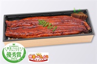 うな重　うなぎ一本重
